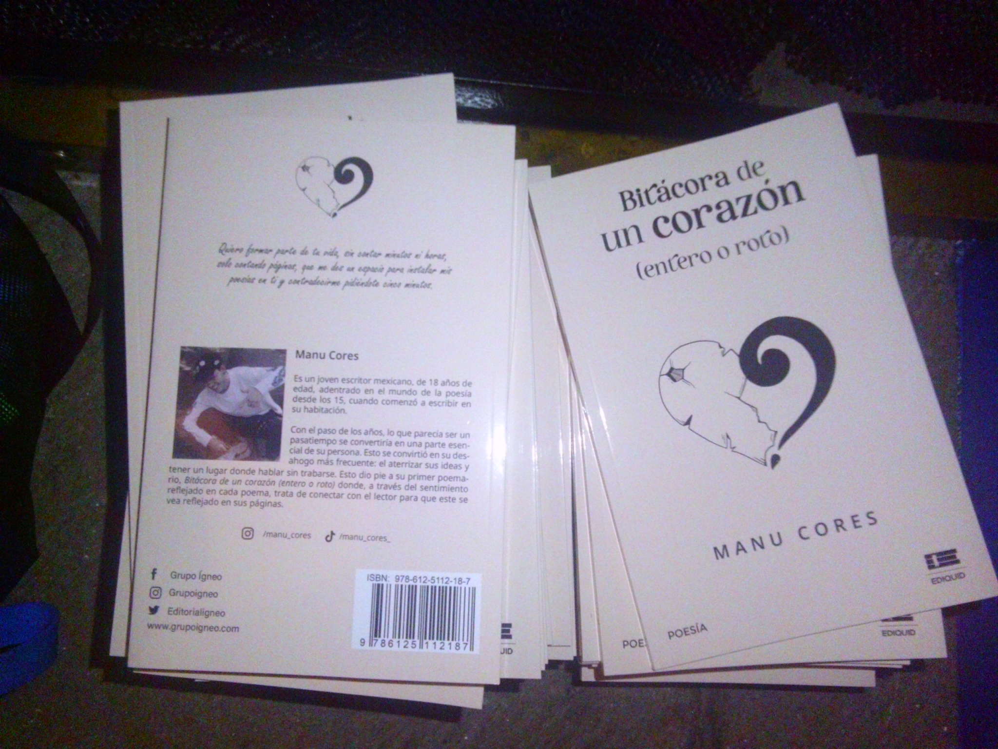 Bitácora de un corazón (entero o roto)